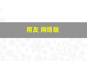 用友 网络版